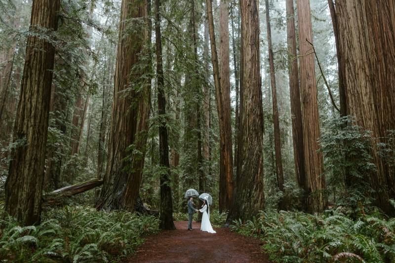 A couple in wedding attire walks in a redwood forest